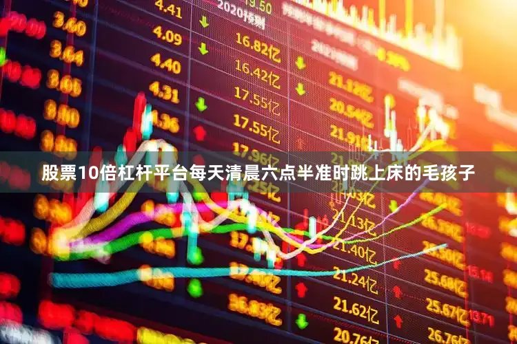 股票10倍杠杆平台每天清晨六点半准时跳上床的毛孩子